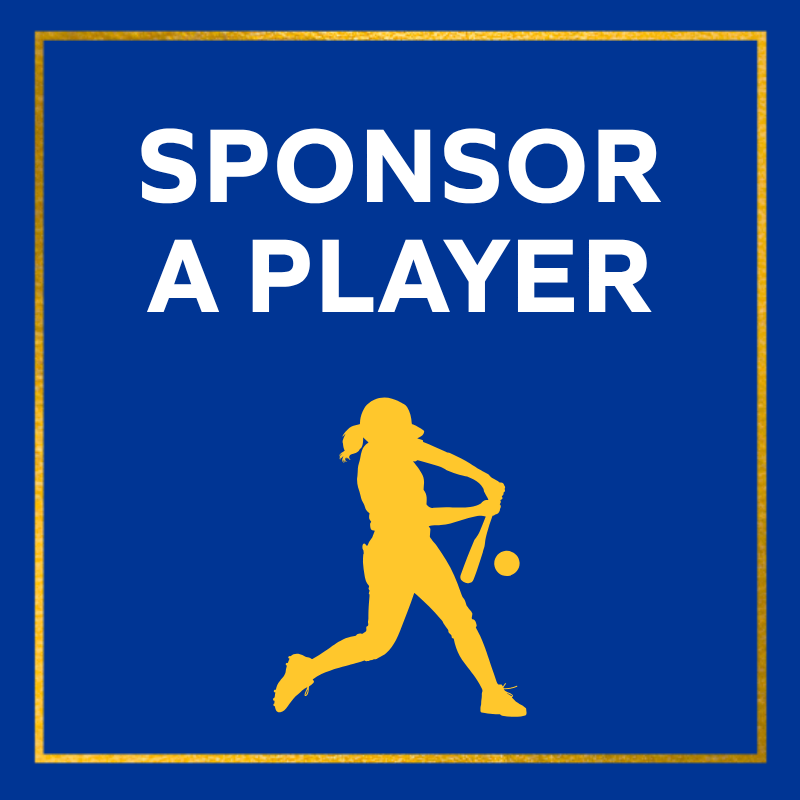 10/2/26: Night on the Diamond - Sponsor a Player